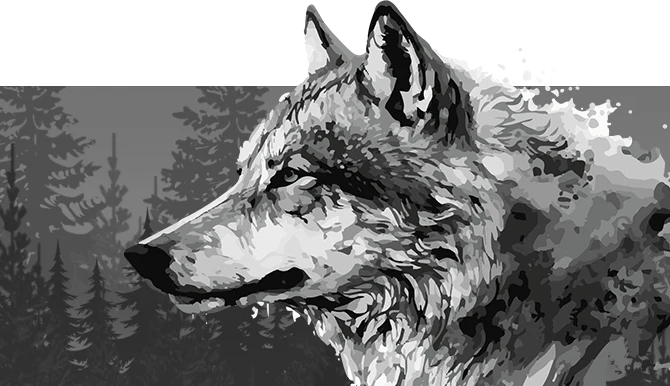 Newsletter Browaru Mustank