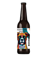 Boxer - Lager - Złoty Pies