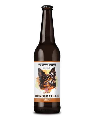 Border Collie - Stout (kawowy) - Złoty Pies