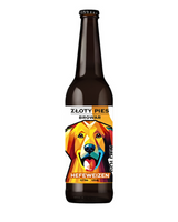 Golden Retriever - Pszeniczne - Złoty Pies