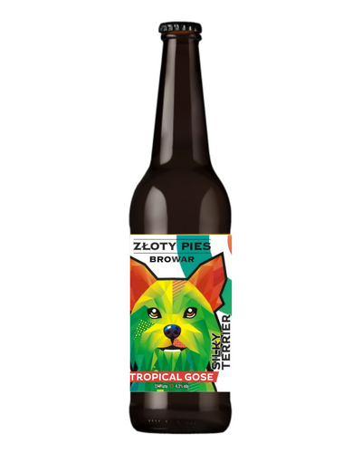 Silky Terrier- Tropical Gose  - Złoty Pies